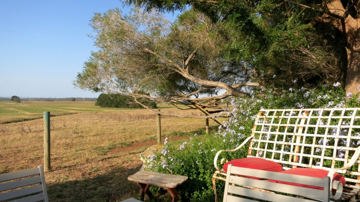Vue de la terrasse de Daniel : une ferme, mais dans un autre style que celle de ma famille