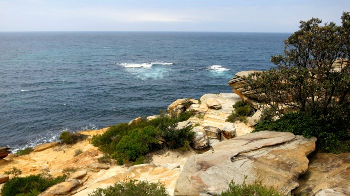 IMG_3117