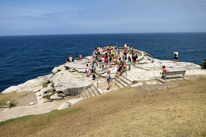 L'arrivée à Bondi pour vous préparer à ce que j'appelle une vie de chien ...