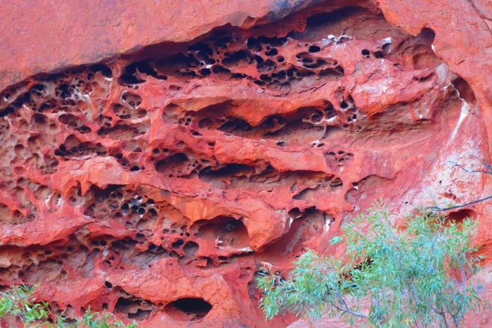 Impressionnantes couleurs ...