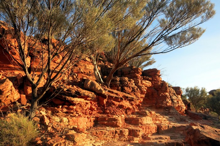 La montée du Canyon au petit jour
