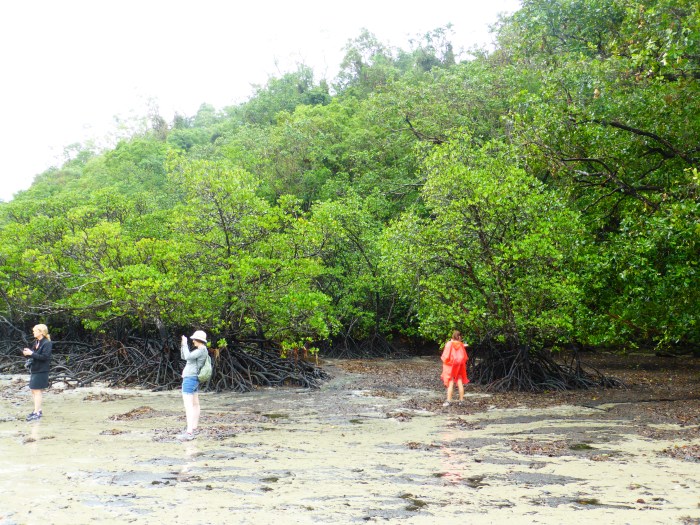 Plage ou pataugeoire, à vous de voir