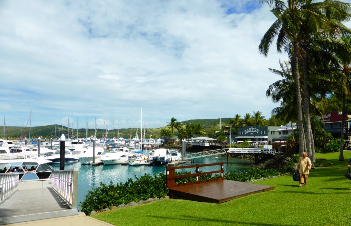 La Marina et ses multiples yachts