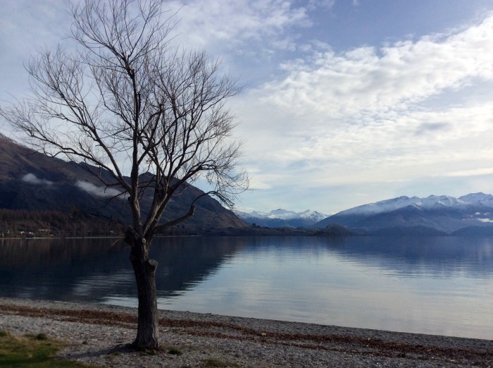 Au bord du lac Wanaka, apérooooo 