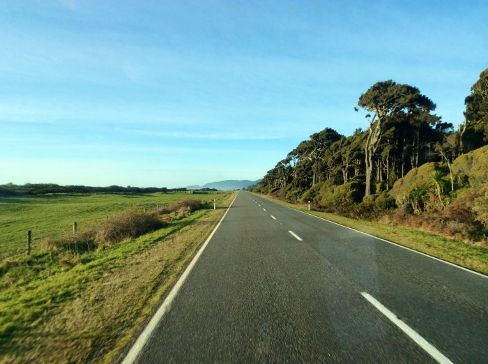 Les plaines et leur verdure 