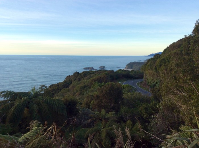 Route sinueuse - côte Ouest  