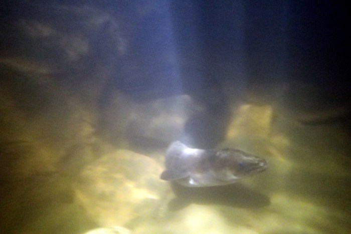 Je regrette épisode 3 !!!