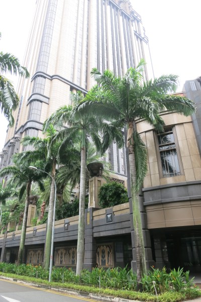 ...aux boulevards plus agités. Un petit air de New York en Asie.