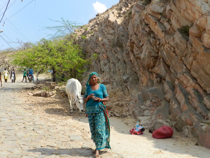 Croisés, sur le chemin : une femme et sa vache