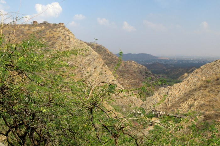 Des paysages inattendus en bord de ville