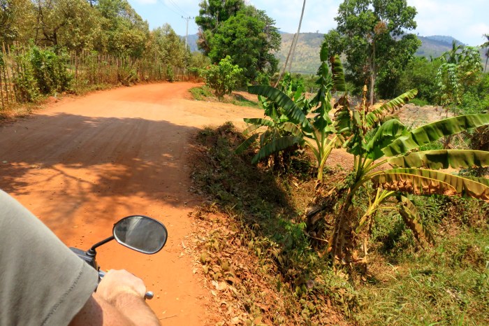 C'est parti pour une aprem' de scoot' !