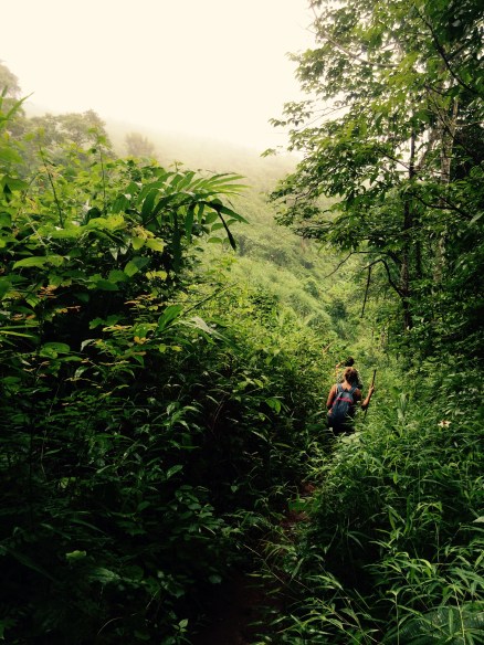 Descente vers la récompense