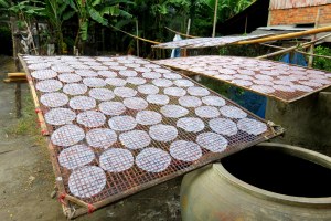 Les pates de riz qui sèchent au soleil