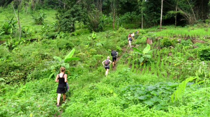 Histoire de bien transpirer