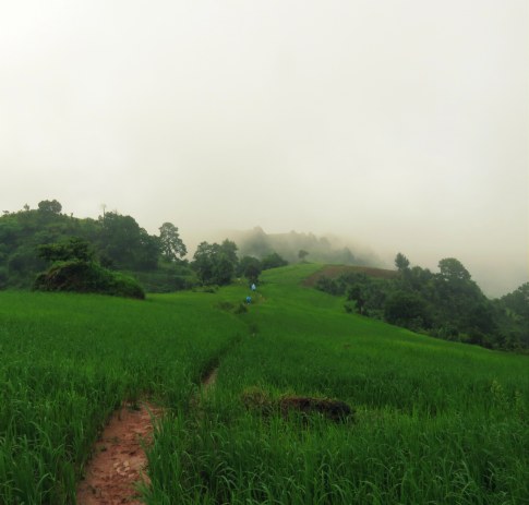 Voilà qui s'annonce bien ..