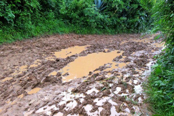 Vraiment très, très bien !